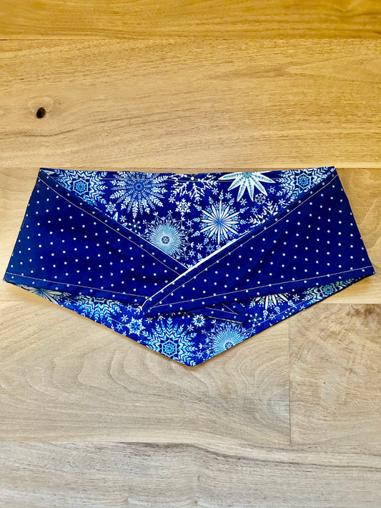 Winter Theme Dog Bandana
