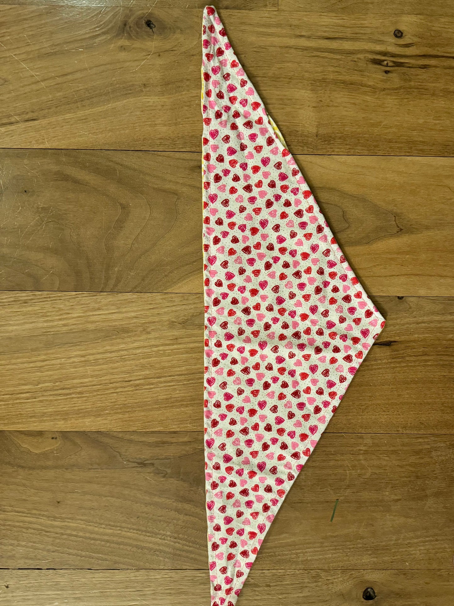 Dog Bandana Valentine's Day