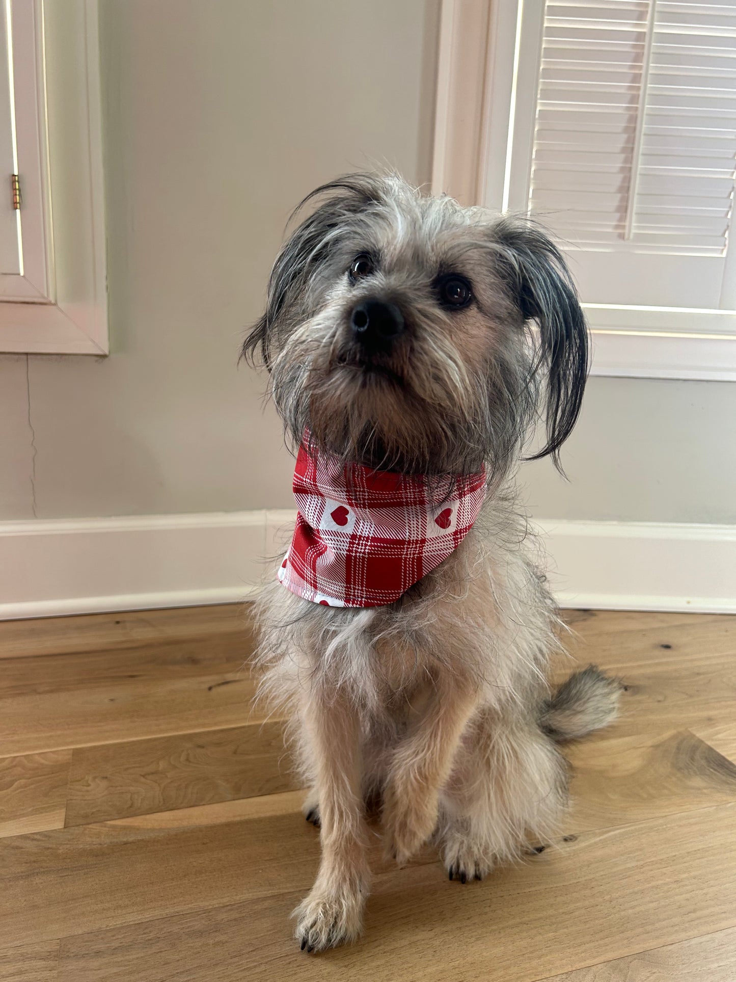 Red Heart Dog Bandana Valentine's Day