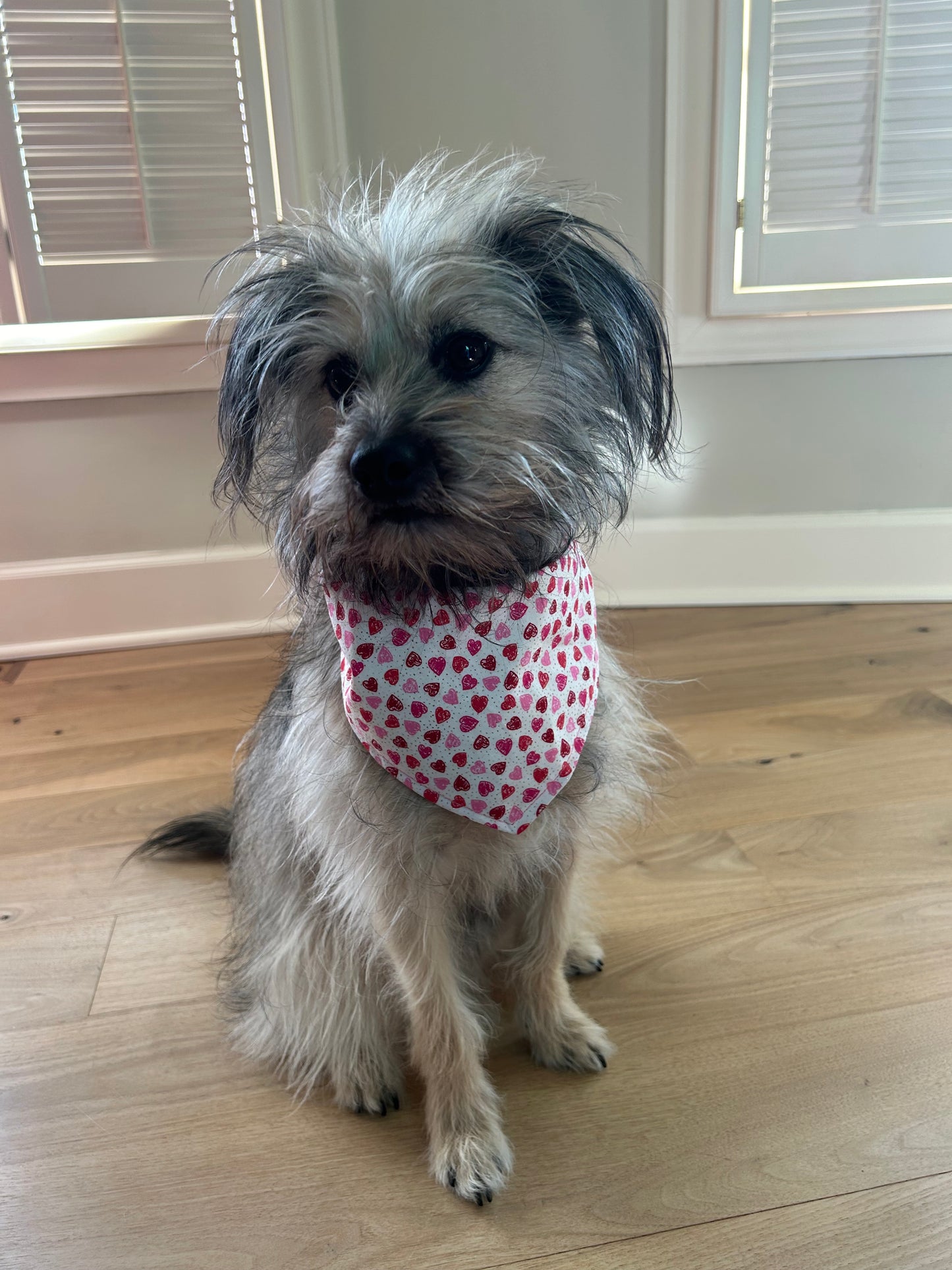 dog bandana patchwork