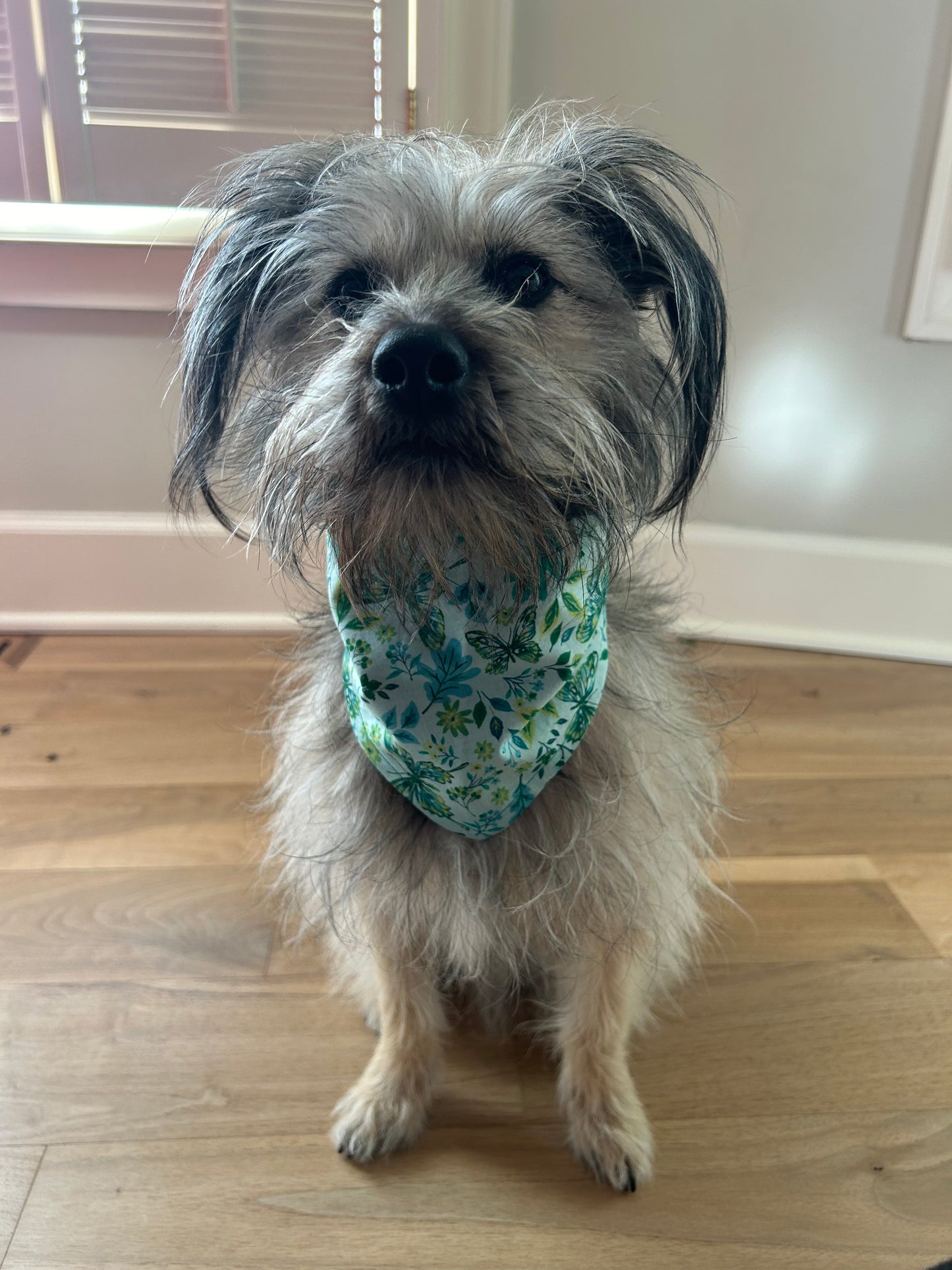 dog bandana fruit pattern single sided